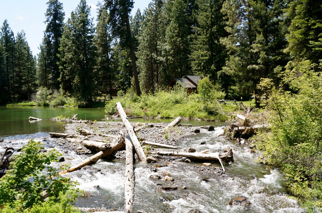 scenery in oregon