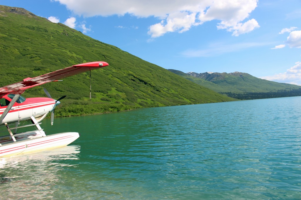 float plane on a lake
