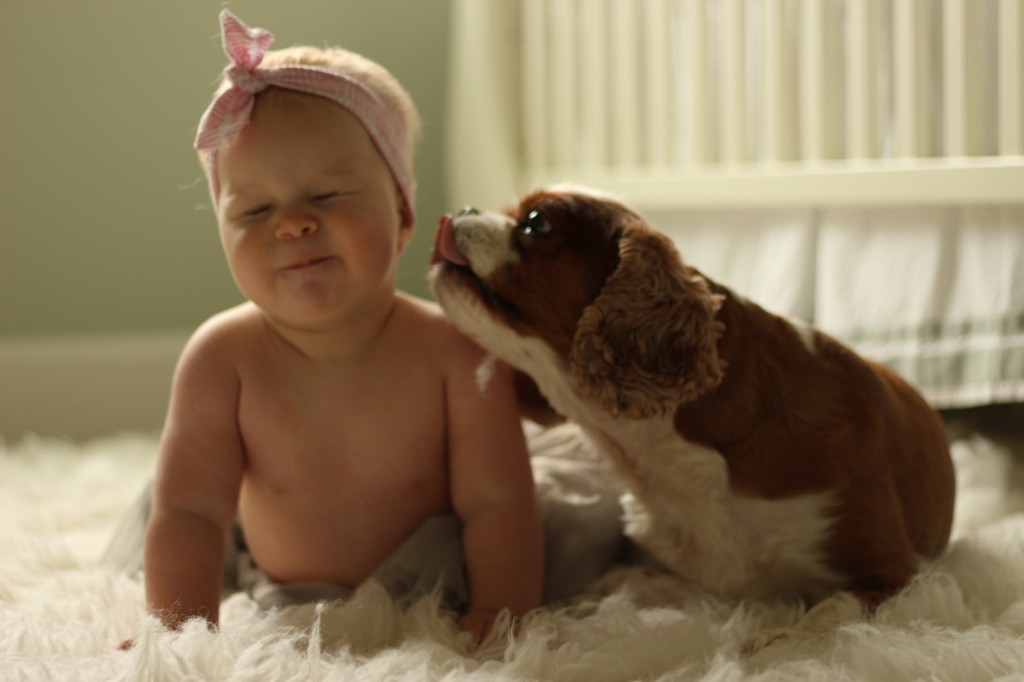baby and dog