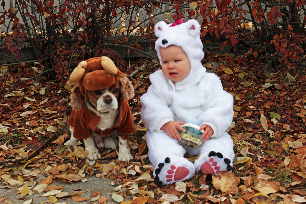 baby polar bear halloween costume