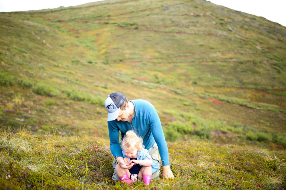 berry picking alaska-14