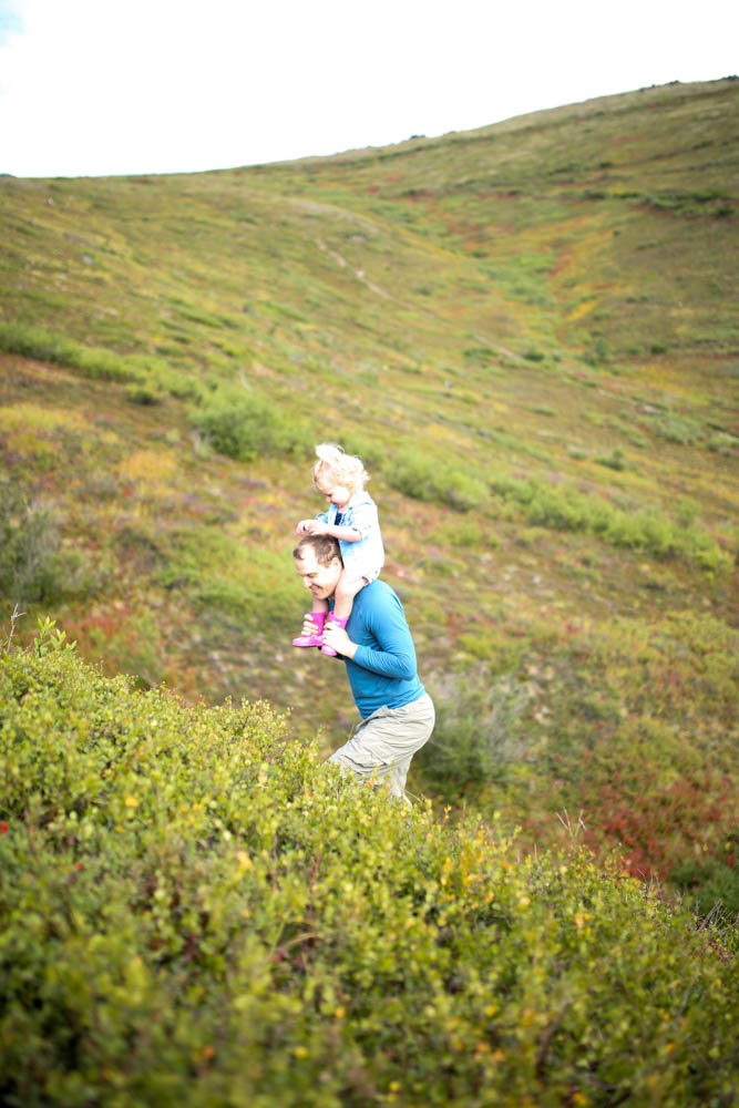 berry picking alaska-15
