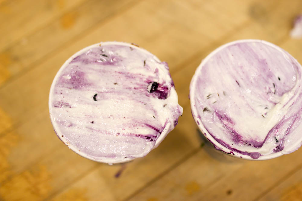 wild scoops ice cream-25