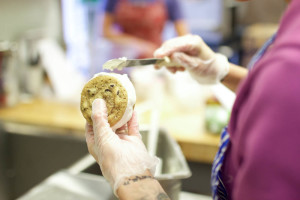 wild scoops ice cream